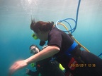 IMG_0247.jpg