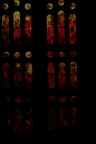 IMG 1868 (486 visits) IMG 1868