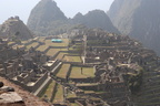 IMG 7890